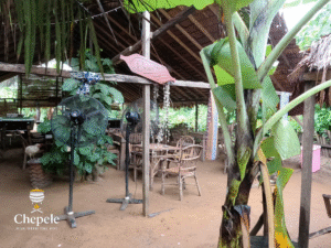 Bansoh Chepele Village DLA