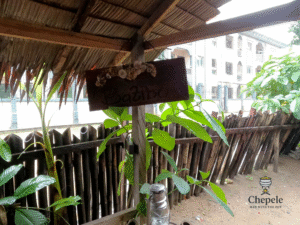 Batibo Chepele Village DLA 2