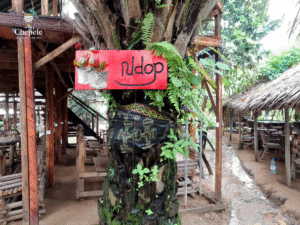 Ndop Chepele VIllage DLA