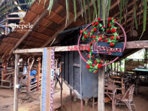 Nsongwa Chepele Village DLA