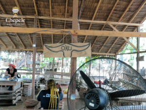 Oku Chepele Village DLA